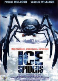 ����֩��