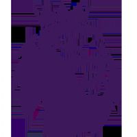 Ӣ�� ����ķvs�Ƕ�20251101